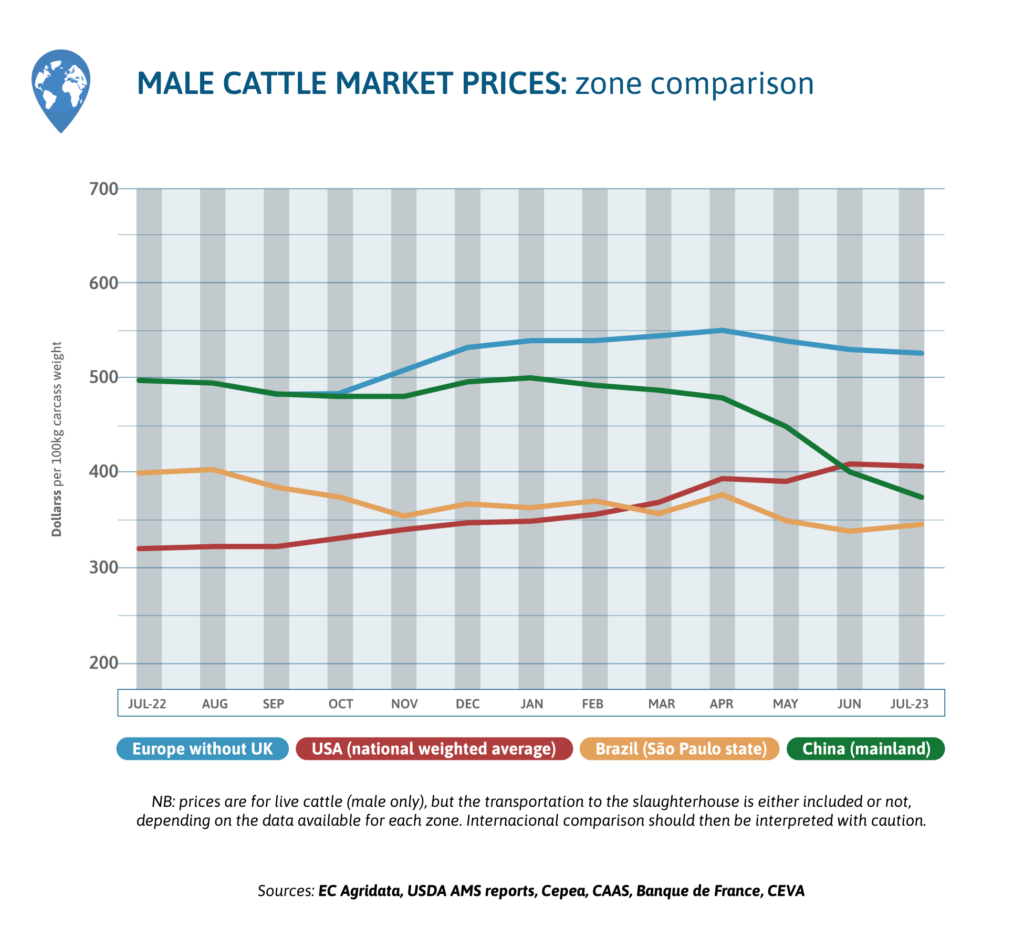 Market Outlook AUGUST 23 Ceva ruminants Global