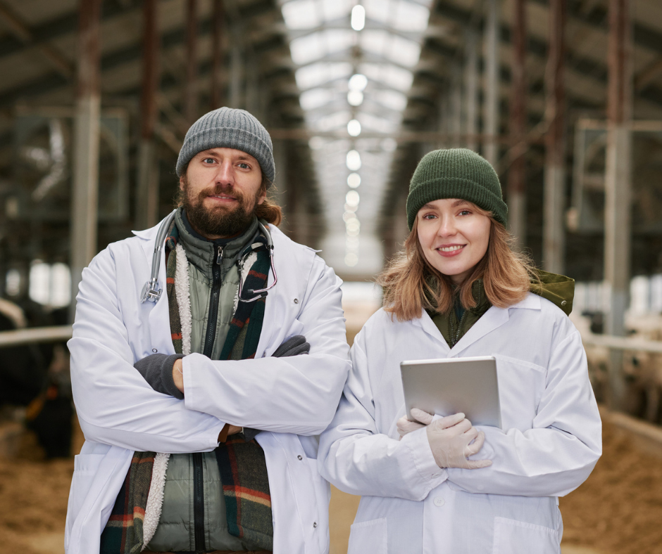 Two ruminant veterinarians