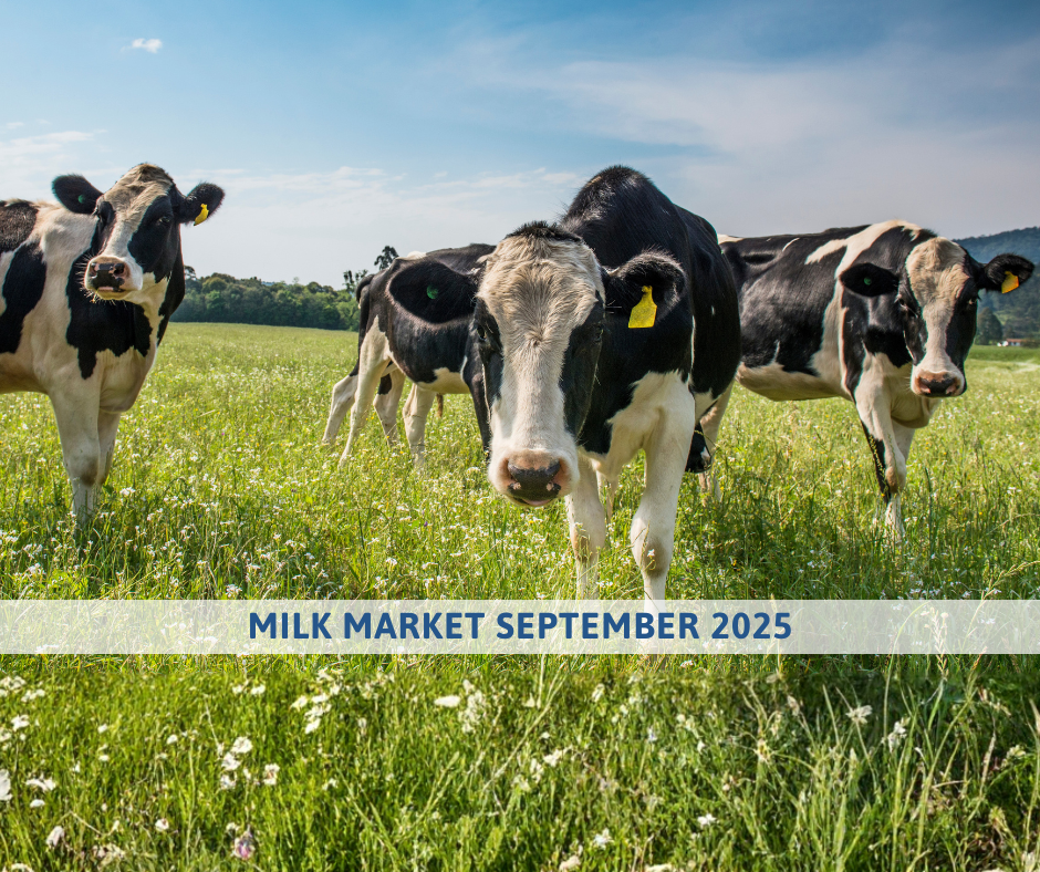 MILK MARKET OUTLOOK SEPTEMBER 2025