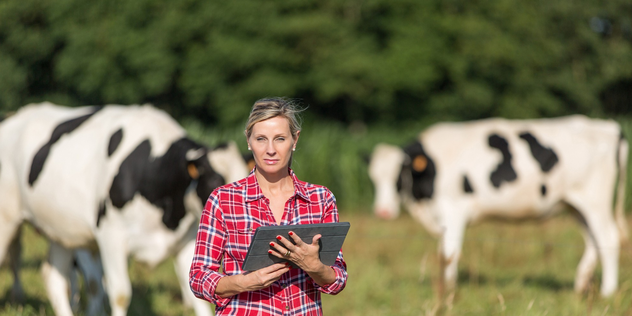 International Day of woman rural 2025 at CEVA