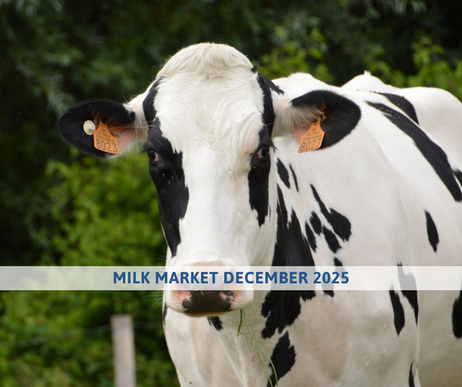 Milk market outlook dec 2025