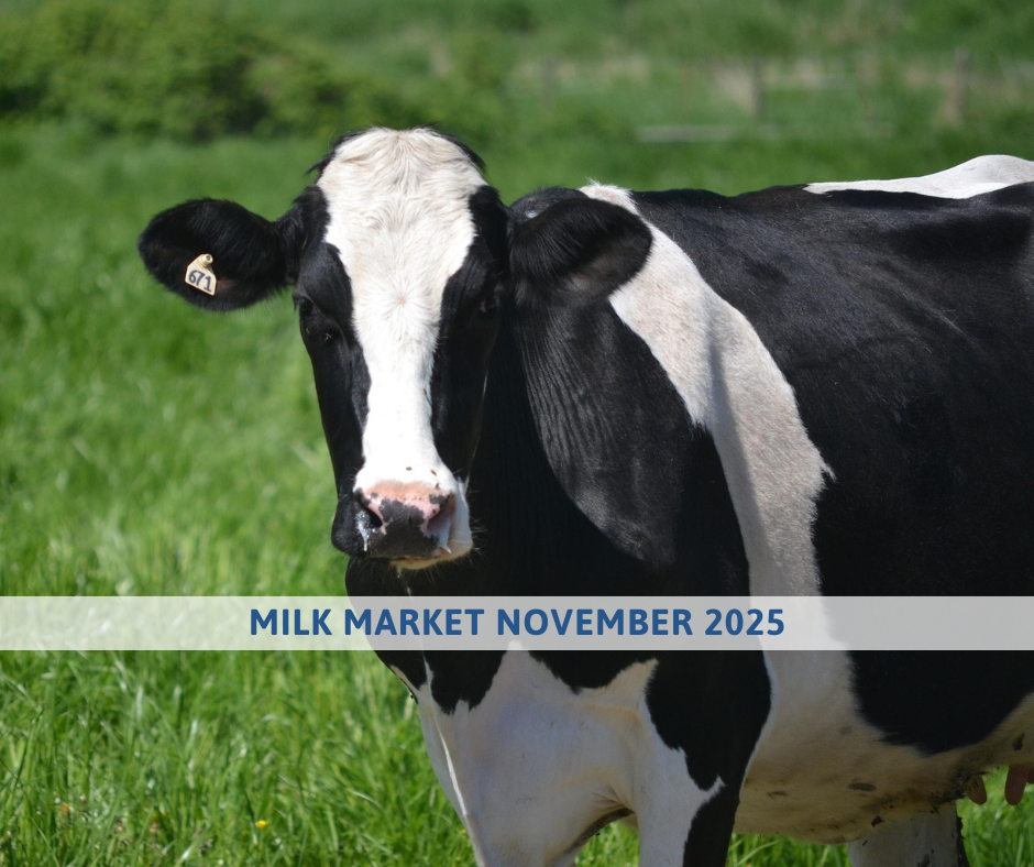 MILK MARKET OUTLOOK November 2025