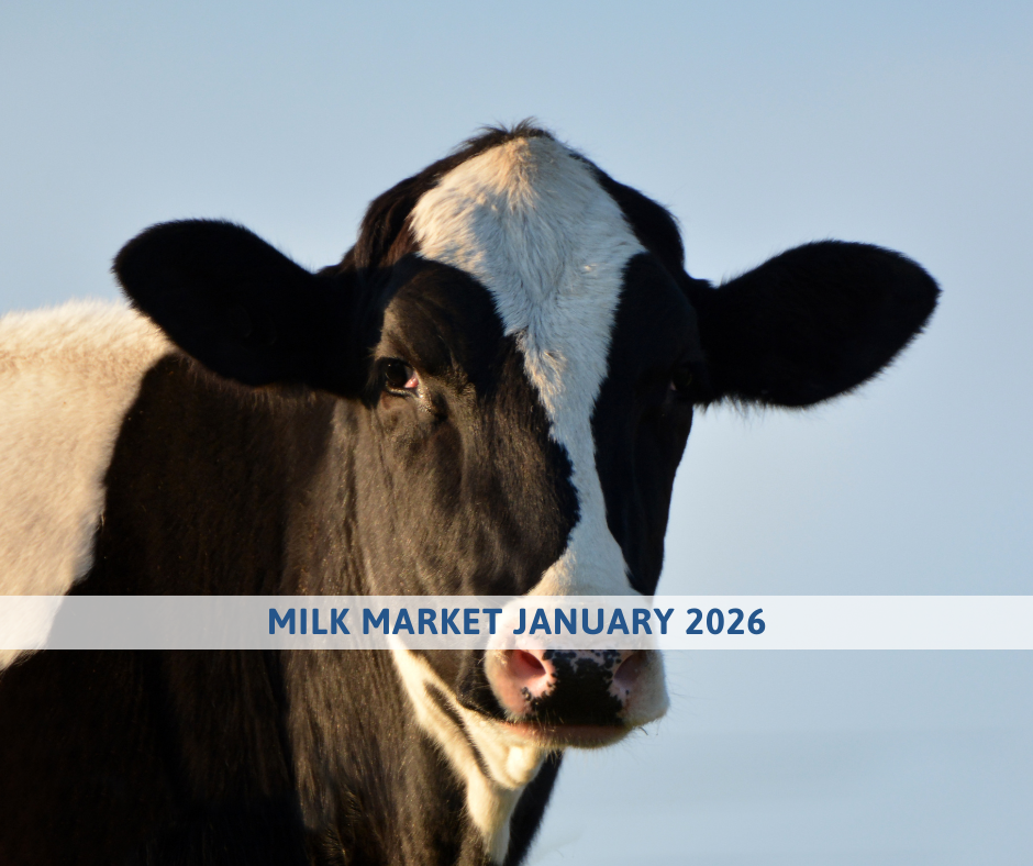 Milk market outlook january 2025