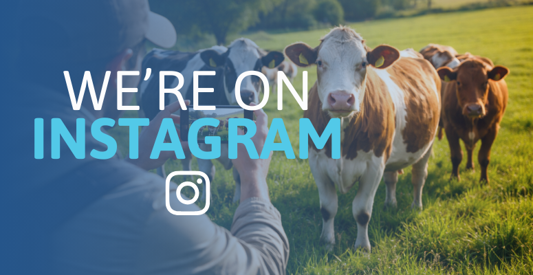 Ceva Launches Official Instagram Account
