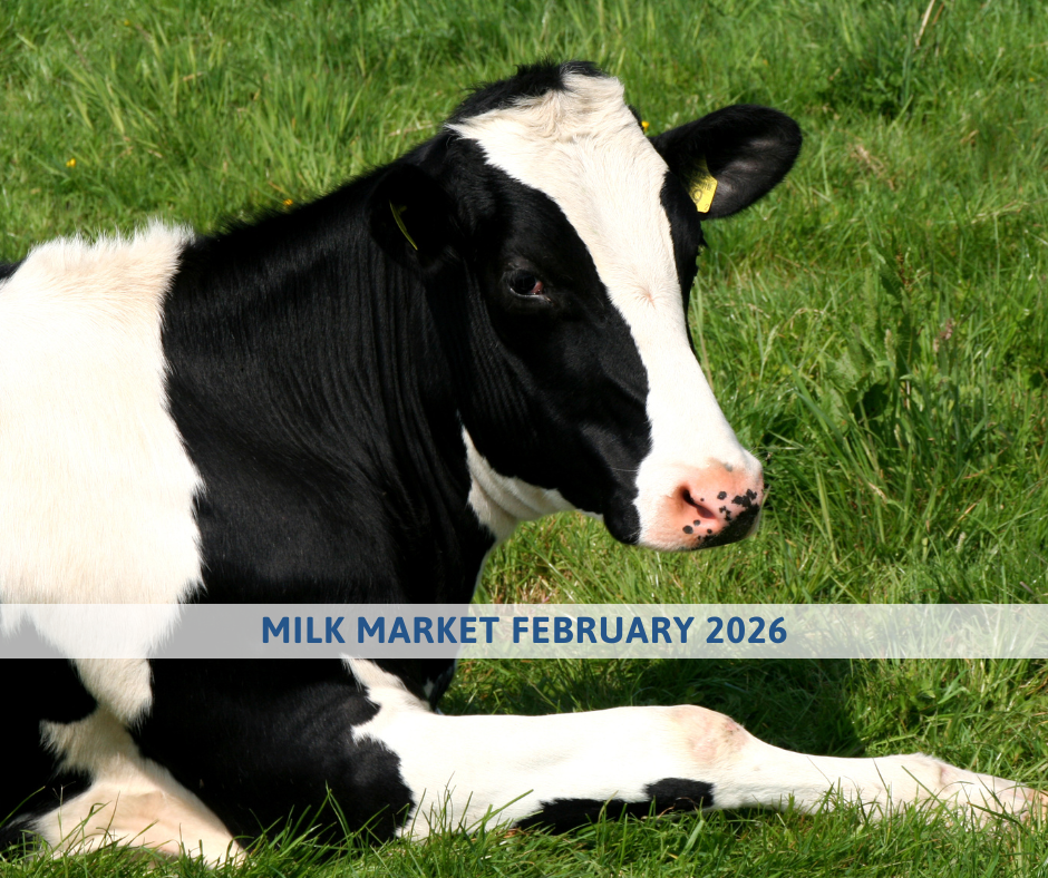 Milk market outlook february 2026