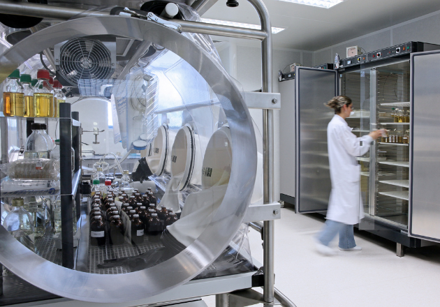 Innovation and Research in Ruminant Health