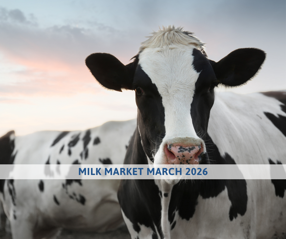 Milk market outlook march 2026