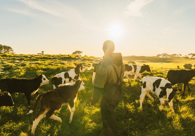 What are the consequences of vector-borne diseases for farms?