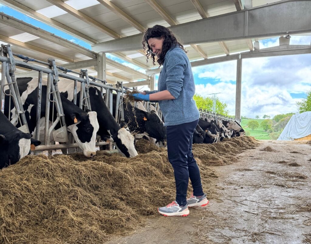 Isabel Salillas World Veterinary Day feeding cattle