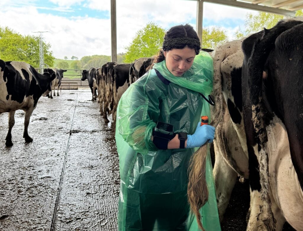 Isabel Salillas on the World Veterinary day reproductive control