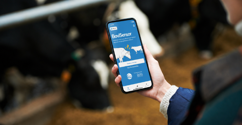 Ceva launches BoviSensor cattle pain app