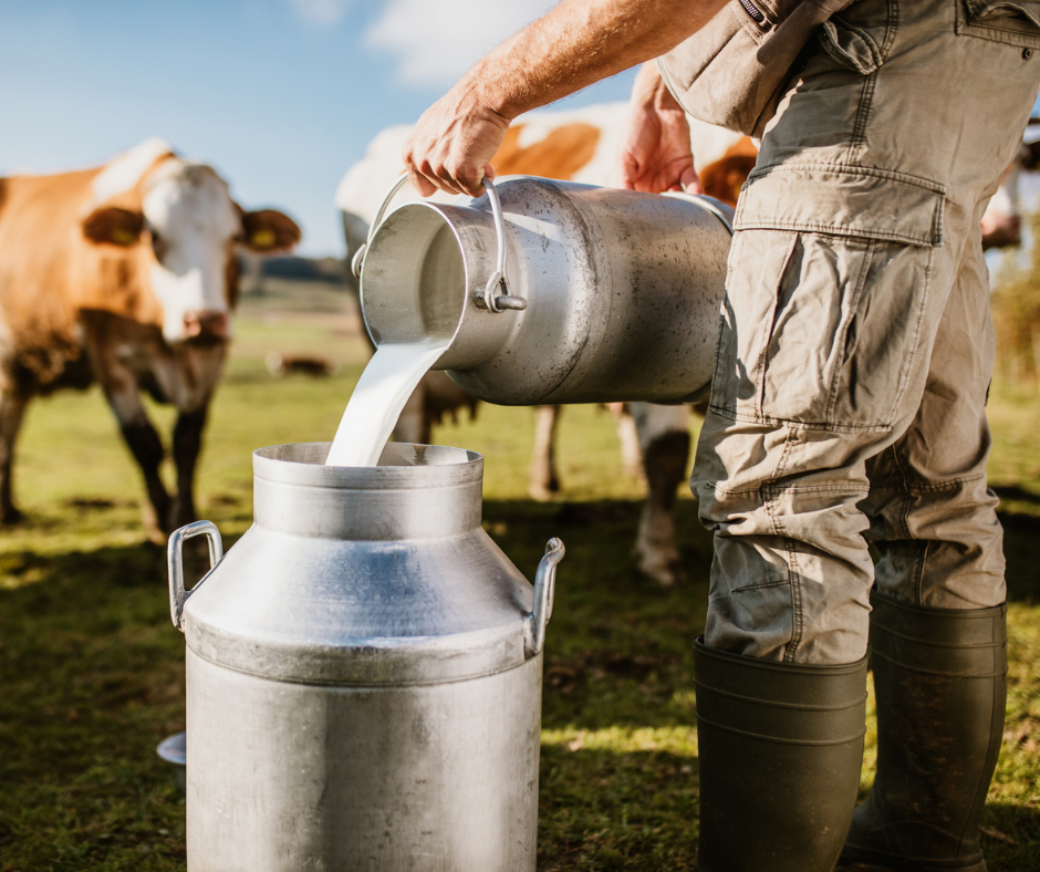 World milk day 2026