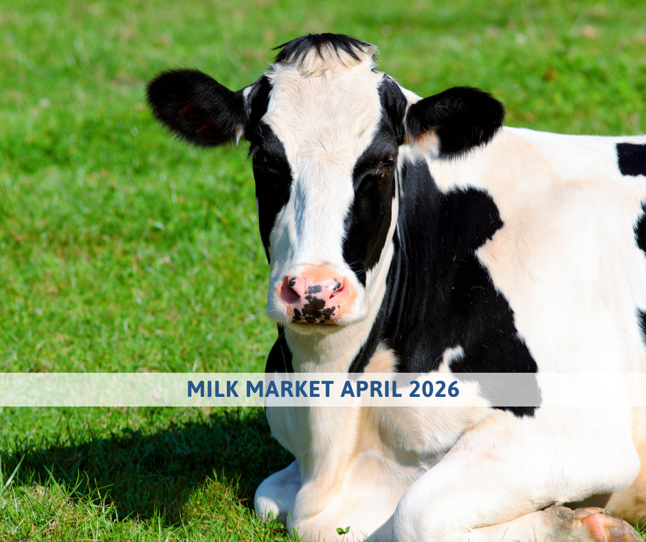 Milk market outlook april 2026