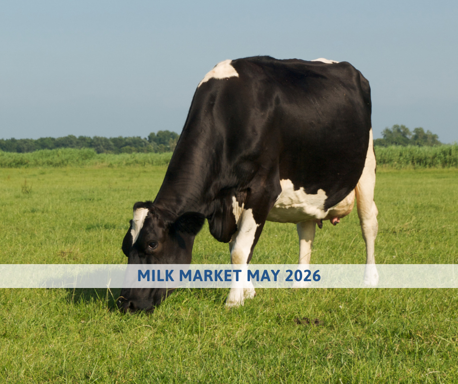 Milk market outlook may 2026
