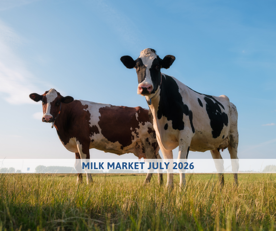 milk market outlook july 2026 global