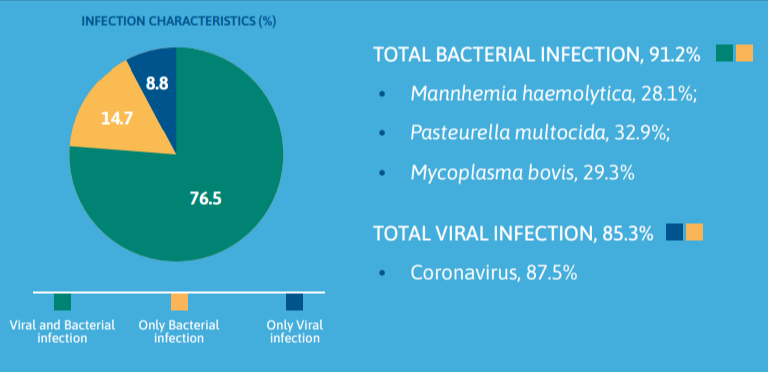Florfenicol and Meloxicam Therapy for BRD in Veal Calves Results 1