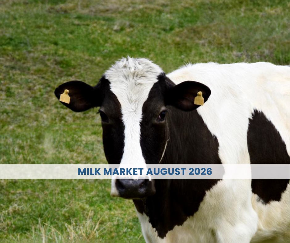 Milk Market outlook August 2026
