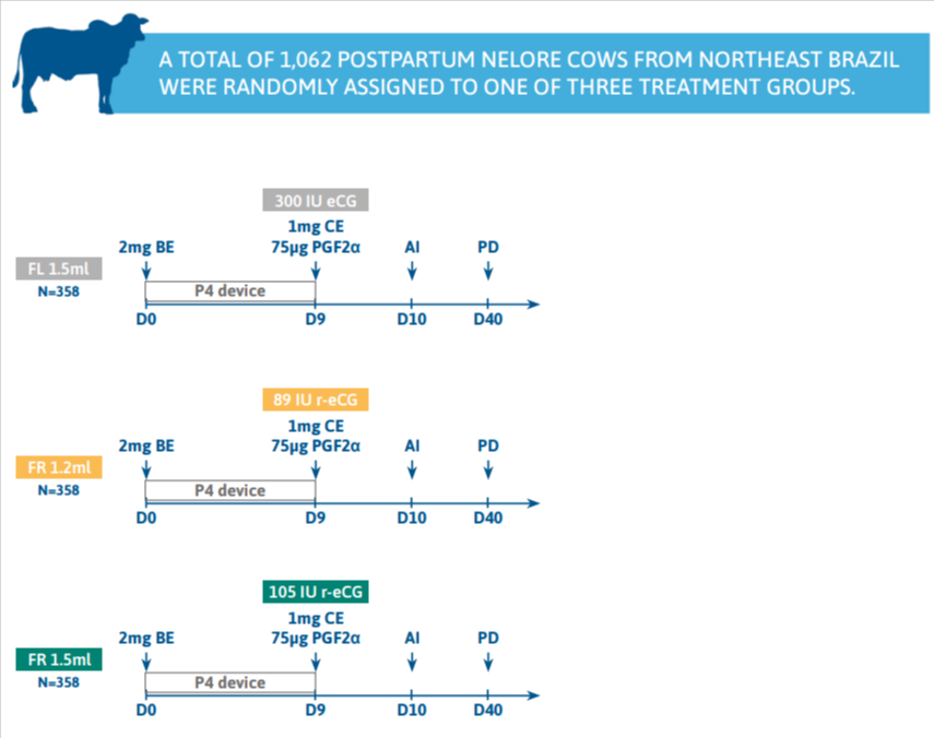 Recombinant eCG Dose, Follicular Dynamics and Fertility in Nelore Cows materials and methods