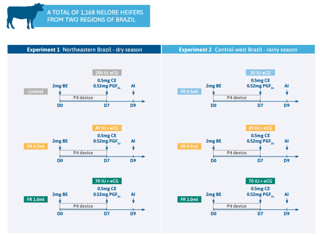 Recombinant eCG Dose–Response in Nelore Heifers Materials and methods
