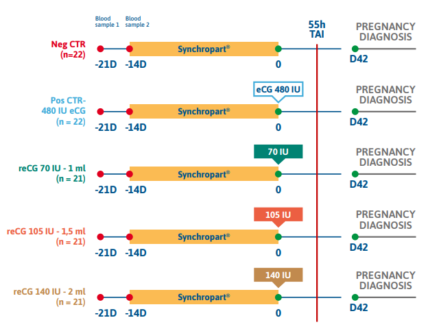 Recombinant eCG and Out-of-Season Reproduction in Ewes materials and methods 1