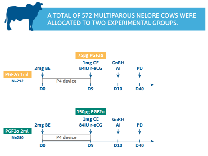Reduced D-Cloprostenol Dose and Reproductive Performance in Nelore Cows materials and methods
