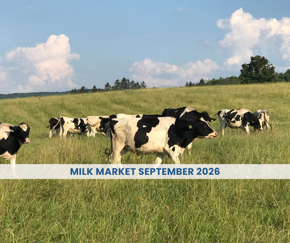 Milk market outlook september 2026