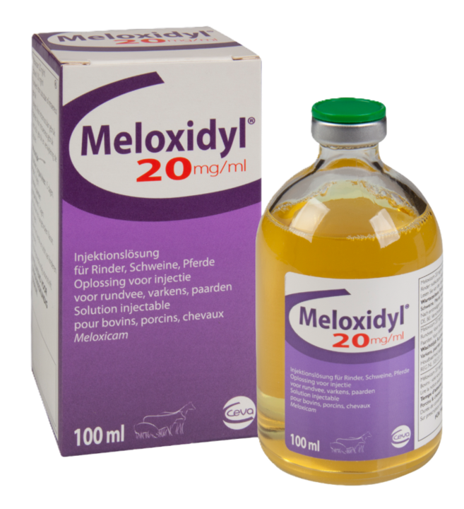 Verpackung Meloxidyl