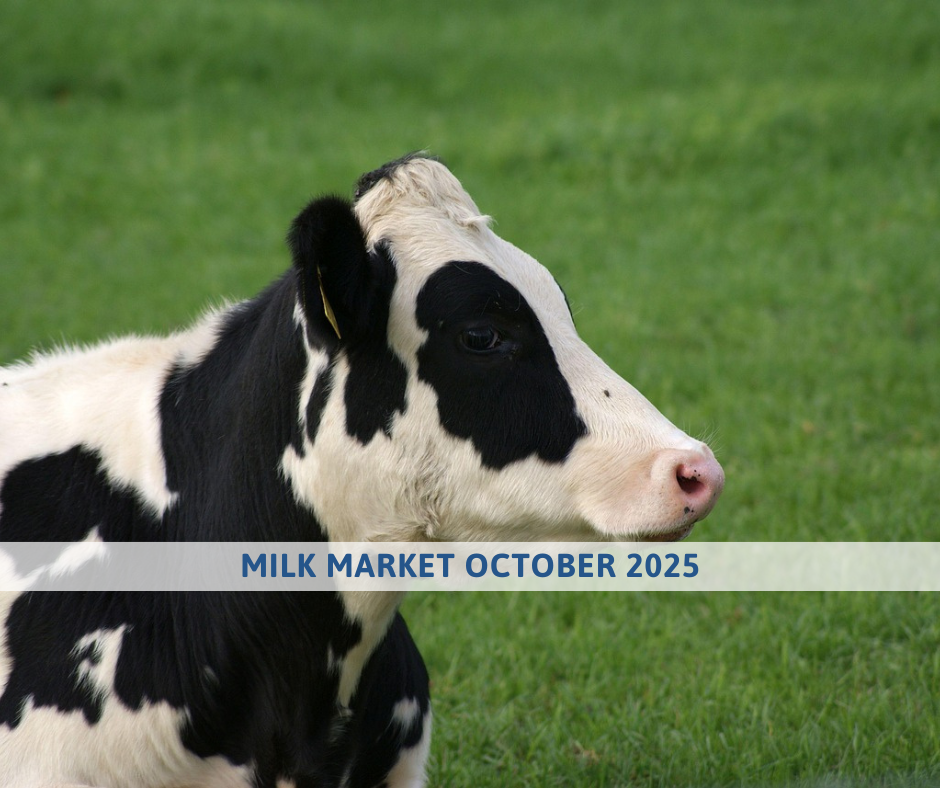 MILK MARKET OUTLOOK october 2025