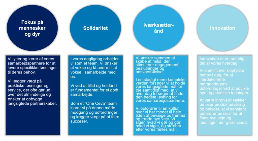 Cevas værdier_Innovation_Solidaritet_Iværksætterånd_Fokus på mennesker og dyr