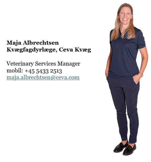 Maja Albrechtsen_Kvægfagdyrlæge_Ceva Kvæg