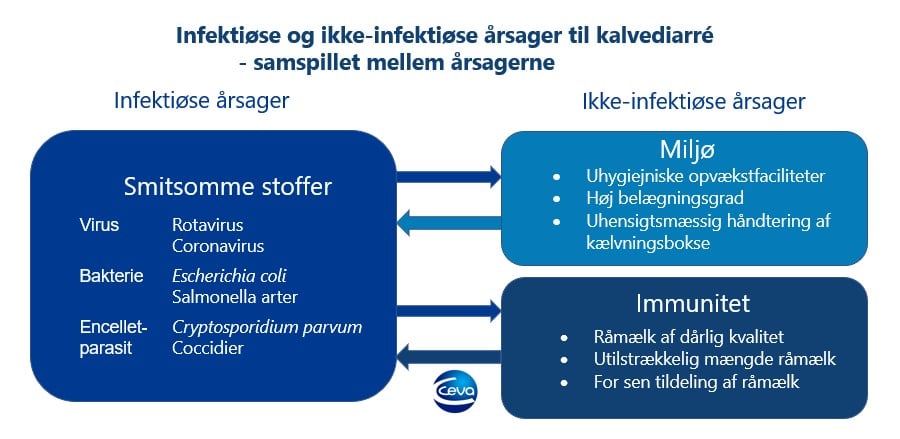Infektiøse og ikke-infektiøse årsager til kalvediarré_Ceva