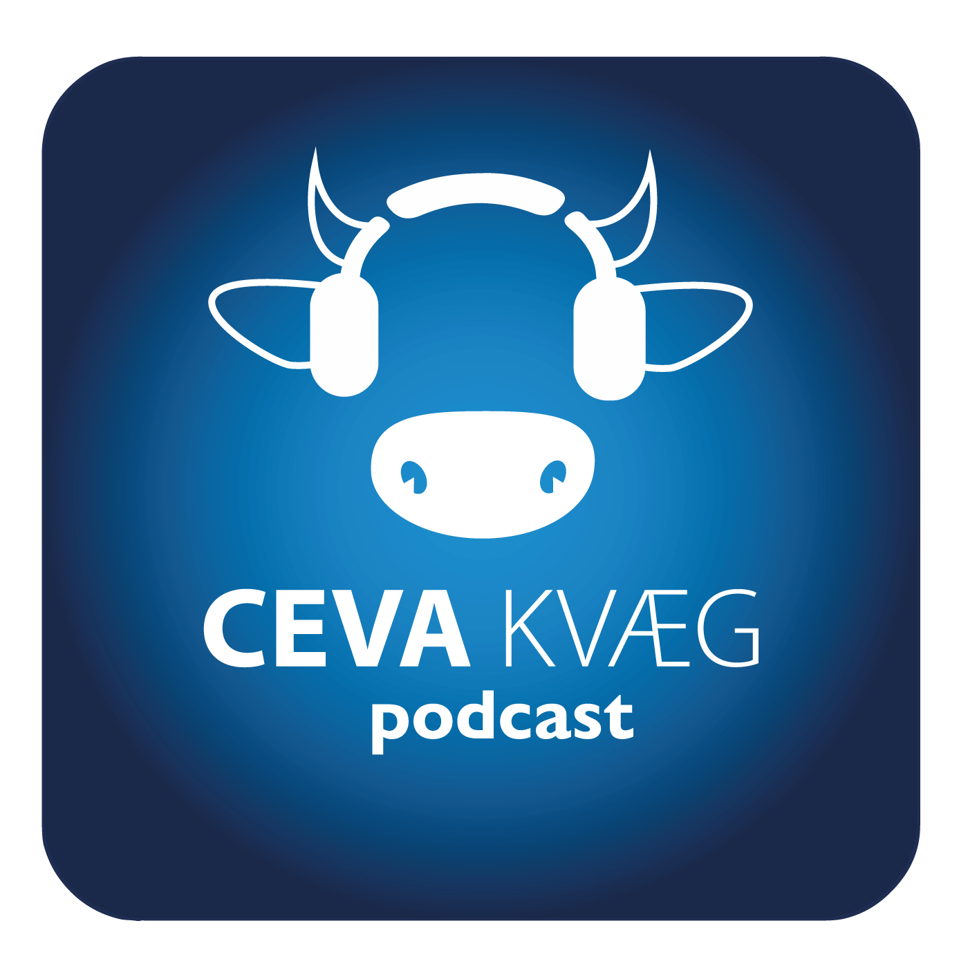 Ceva Kvæg podcast til dig, der elsker kvæg