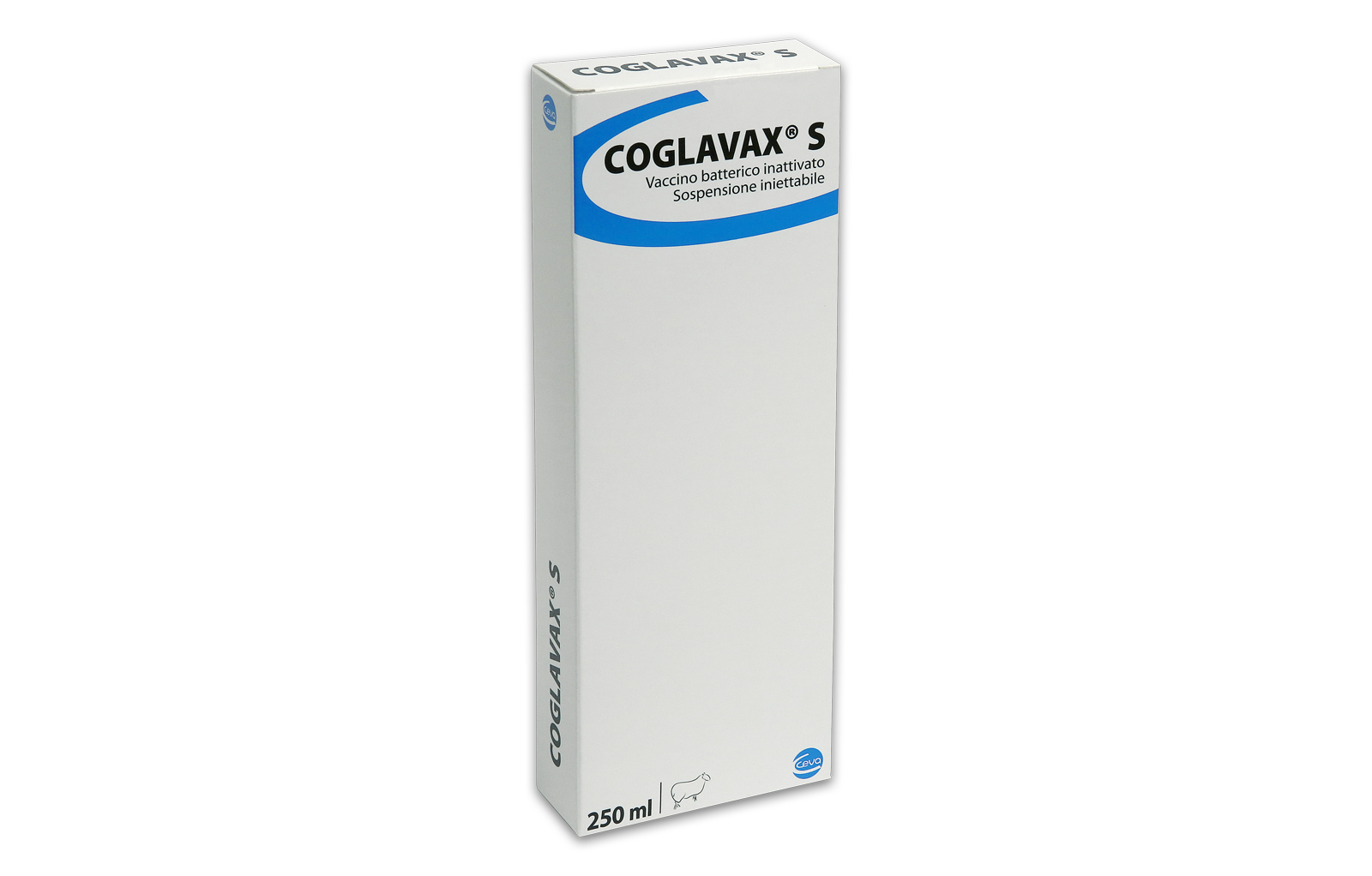Coglavax S box