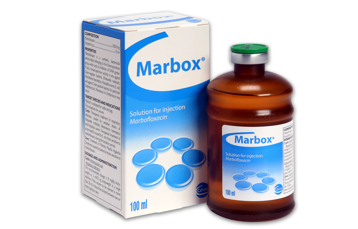 Marbox box and bottle
