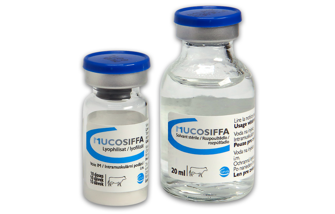 Mucosiffa bottle
