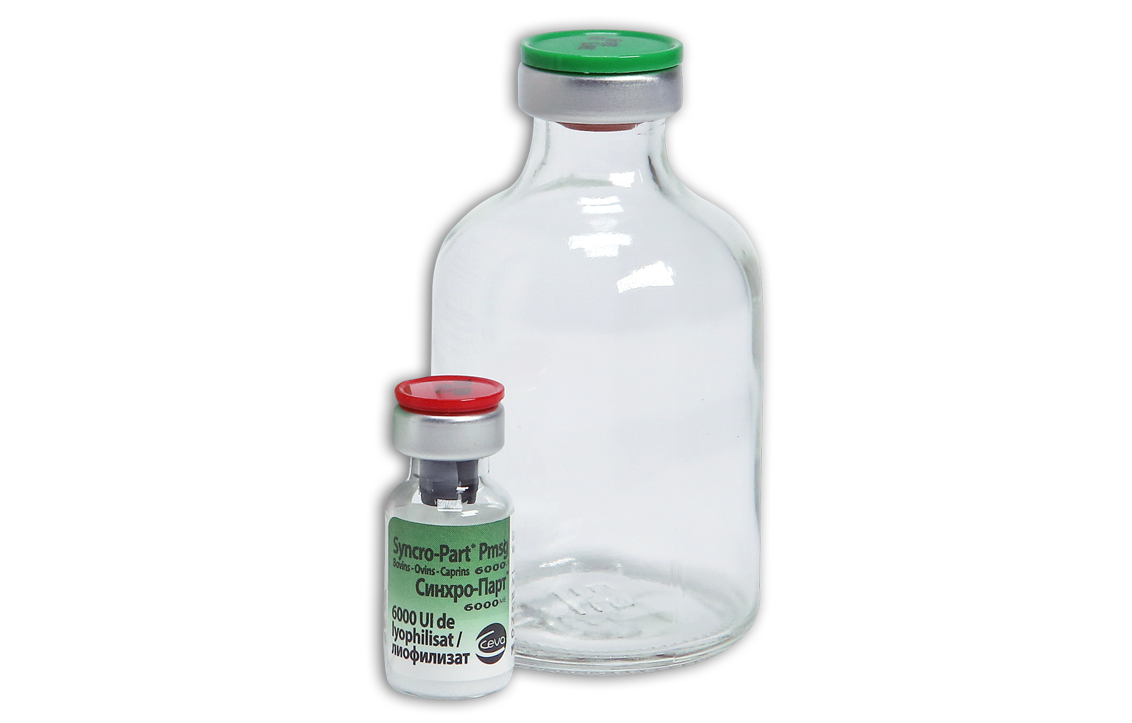 Syncropart bottle