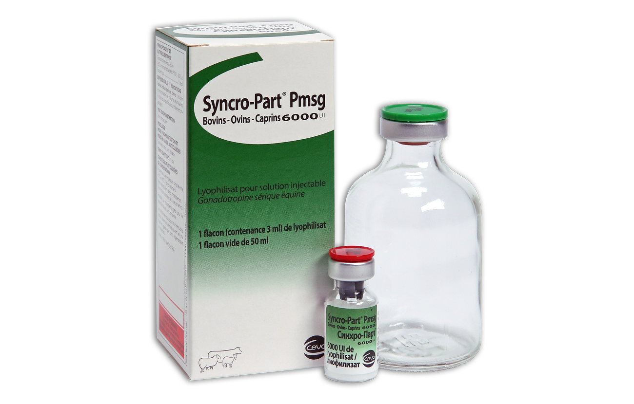 Syncropart box and bottle