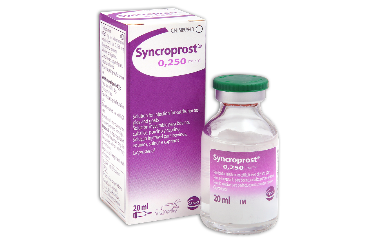 Syncroprost box and bottle