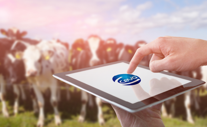 Ceva app for cattle management