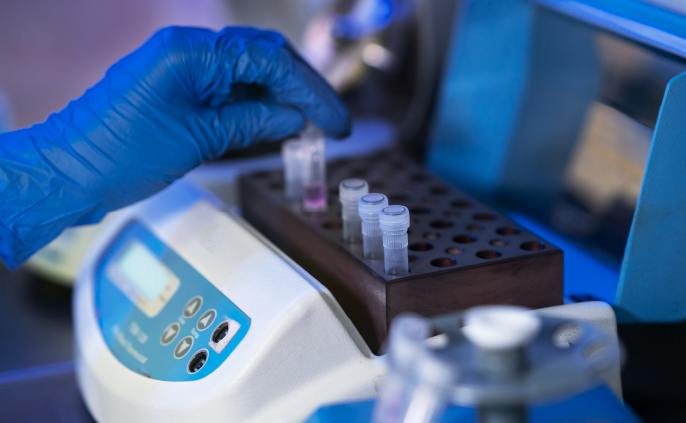 Disease analysis in cattle
