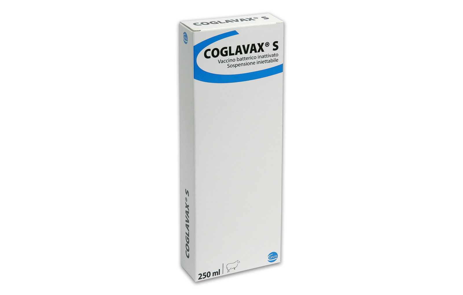Coglavax S box