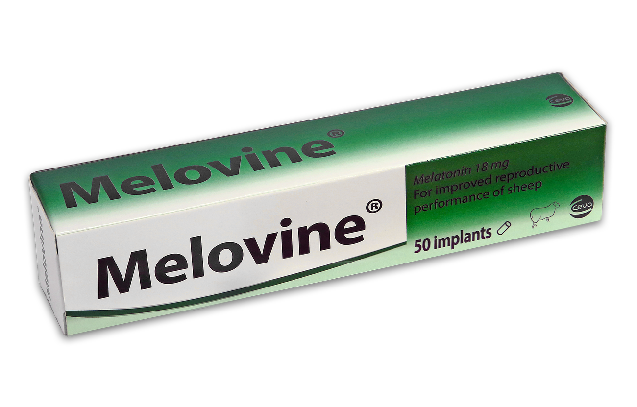 Melovine box