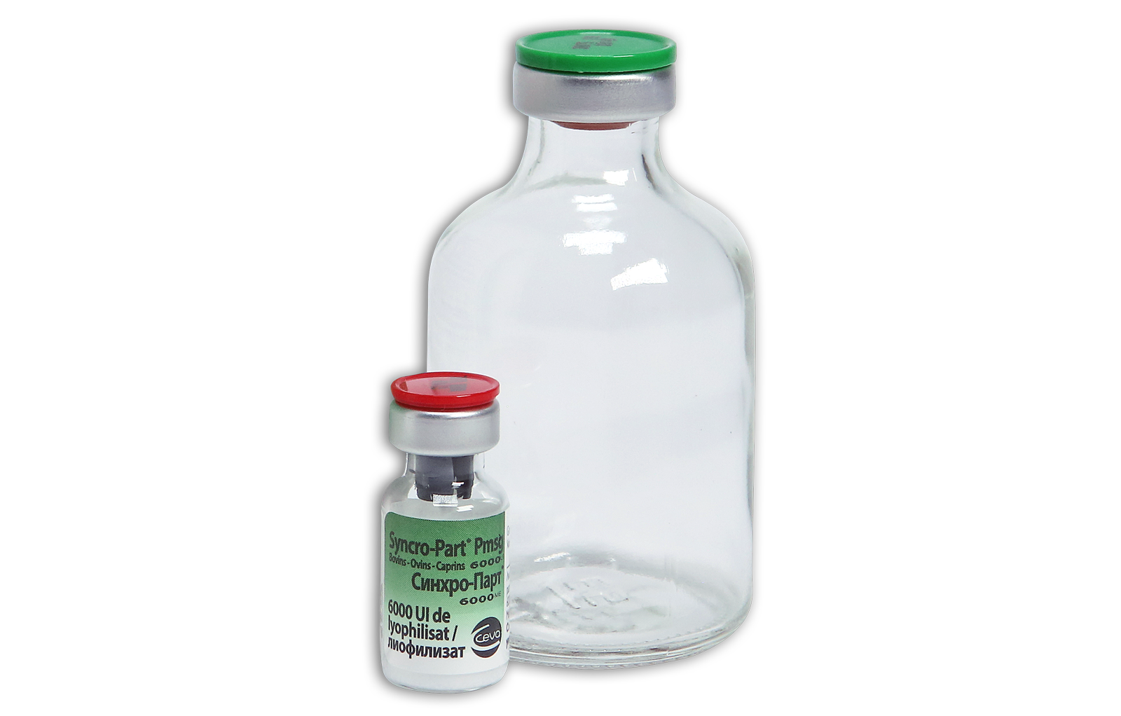 Syncropart bottle