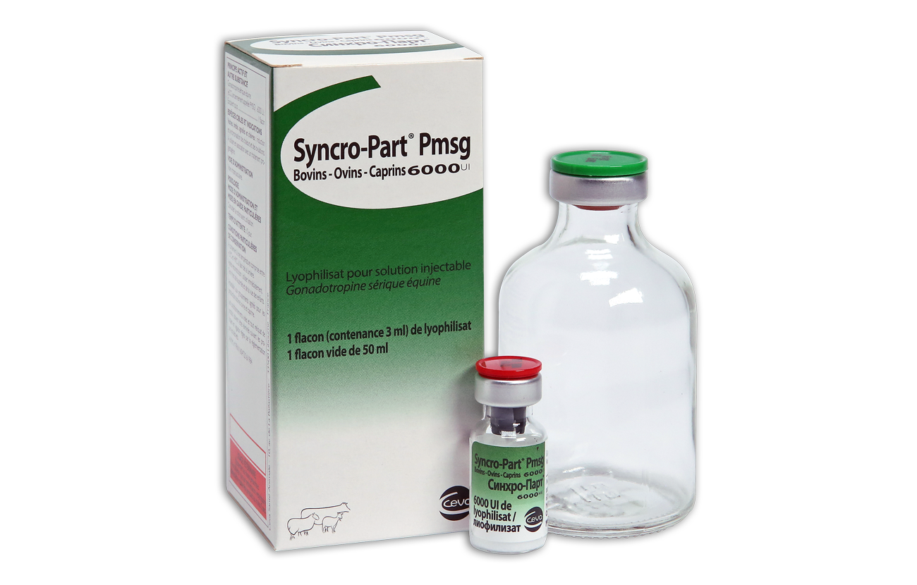 Syncropart box and bottle