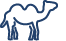 camel icon