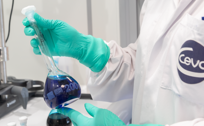 Ceva veterinarian in a laboratory. Ruminant disease