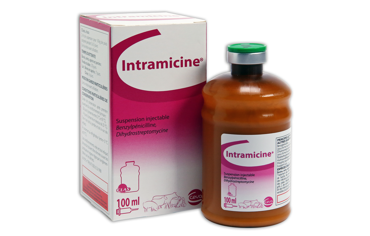 Intramicine box and bottle