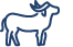 buffalo icon