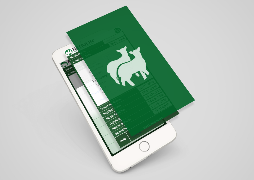 MelovApp app
