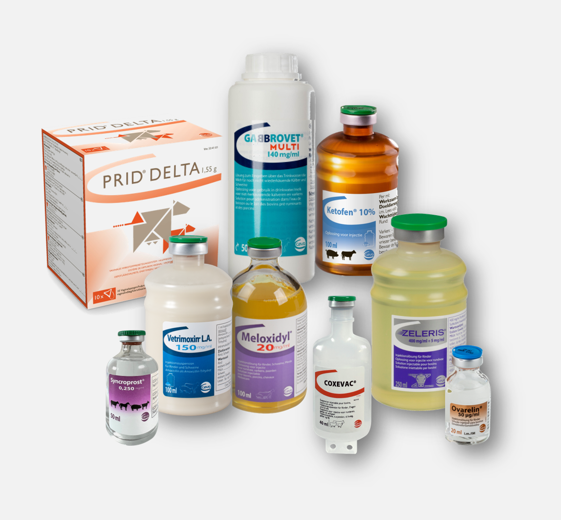 producten ceva nederlands
